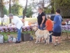 canoe_picnic_14_192x144