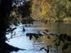 canoe-picnic-fall-2011-017